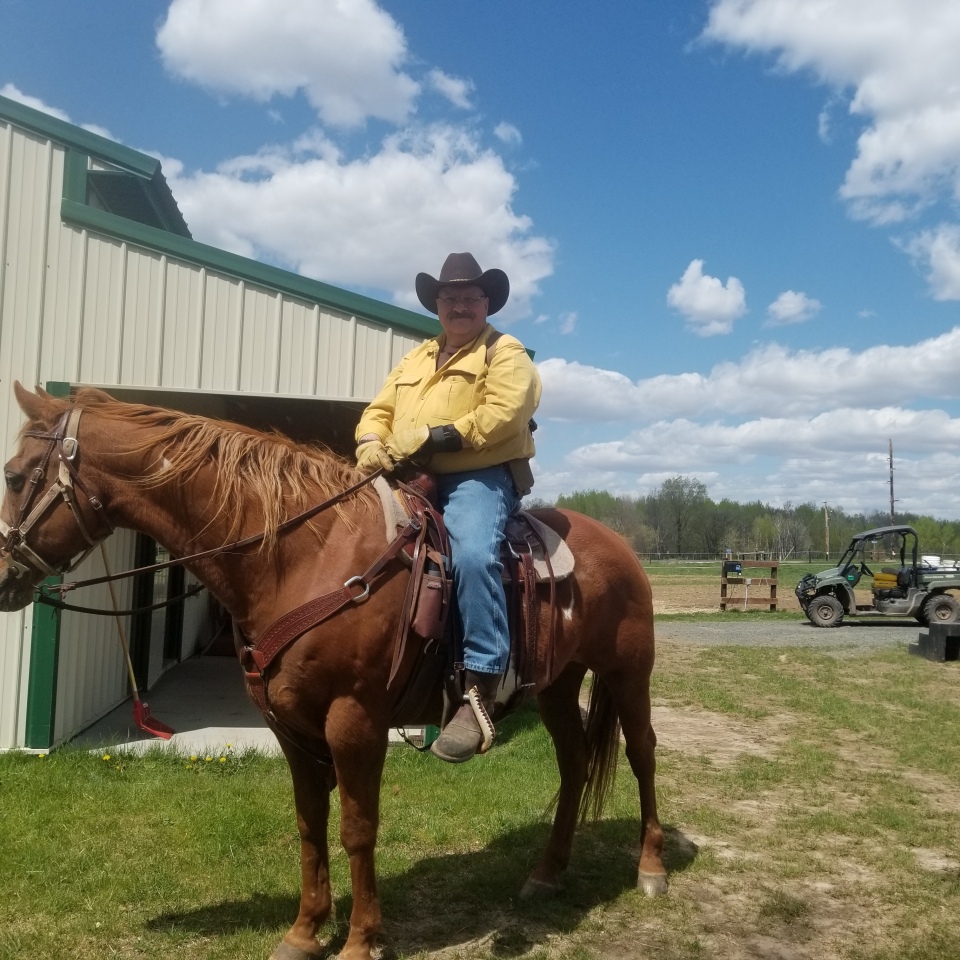 Learning to groom horses at the ranch